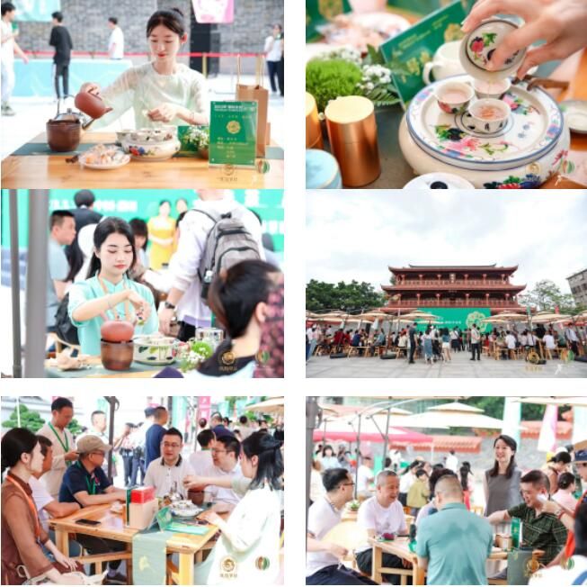 关于2023年“国际茶日”中国主场活动广东（潮州）分会场活动成功举办！的相关内容(13)
