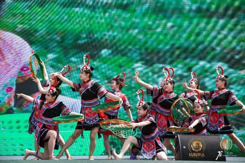 关于2023年“国际茶日”中国主场活动广东（潮州）分会场活动成功举办！的相关内容(1)