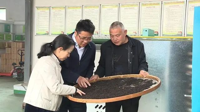 有关于安徽舒城:推进夏秋茶生产 延伸茶叶产业链的信息(2)