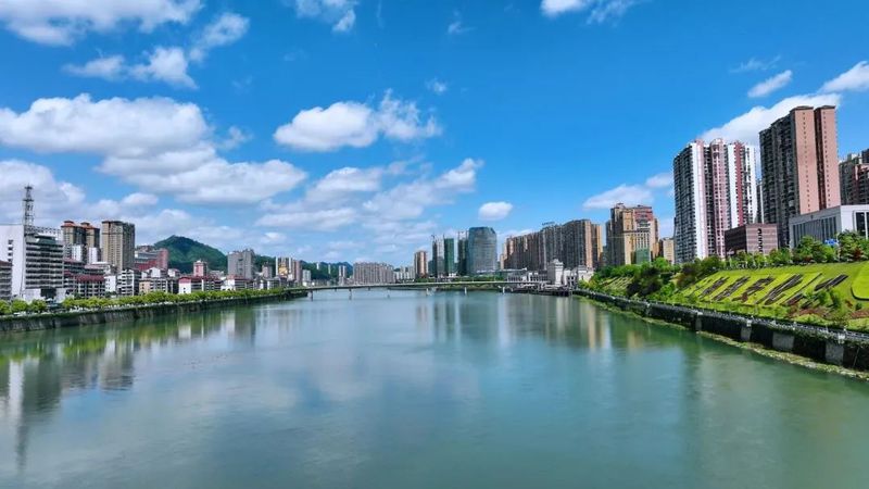 有关于肖伟群：践行“三茶统筹”理念 “一片叶子”点亮安化的新闻(2)