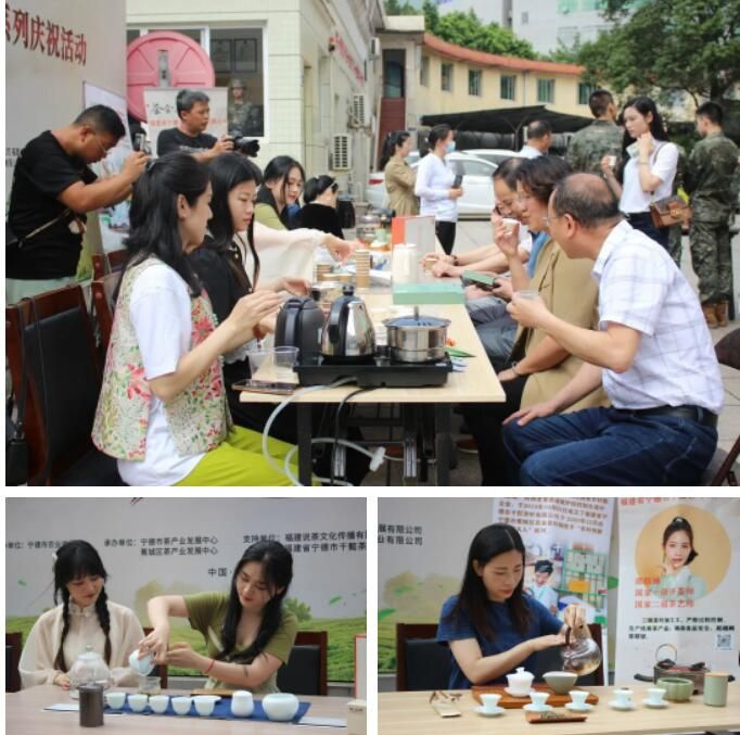 关于解码世遗香韵！国际茶日在闽东千年茶区寻见古韵风雅的相关信息(6)