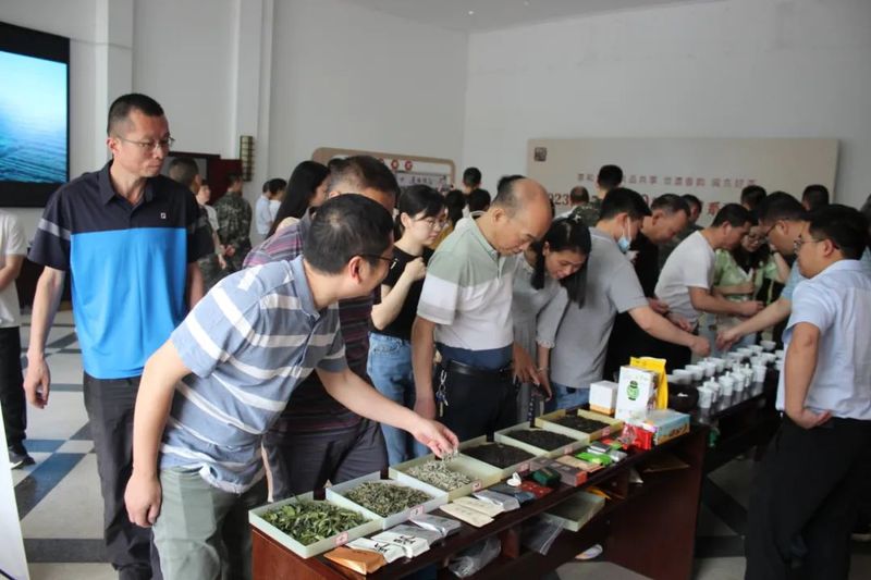 关于解码世遗香韵！国际茶日在闽东千年茶区寻见古韵风雅的相关信息(4)