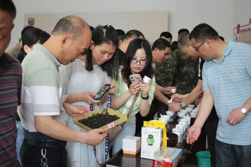 关于解码世遗香韵！国际茶日在闽东千年茶区寻见古韵风雅的相关信息(5)