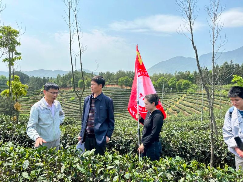 有关于茶平乡：“科技助力乡村振兴”讲习班开课啦！的资讯