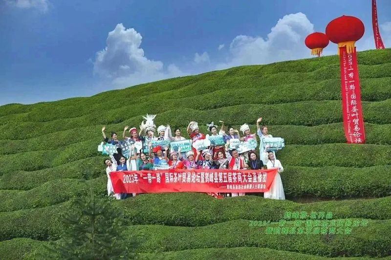 关于春茶中国行⑫这里力争成为全国茶叶出口第一镇！的新闻(5)