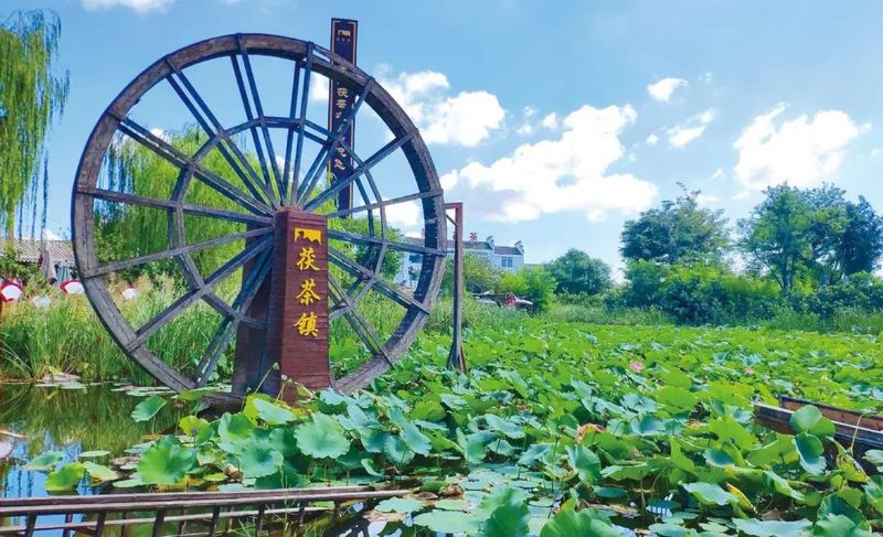 有关于西咸新区：谱写茶旅融合新篇章 茯茶产业赋能乡村振兴的内容
