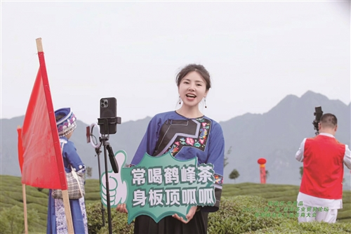 有关于要“有机” 还要“有财”——湖北鹤峰优质茶资源的产业发展、多元增值之路的内容(2)