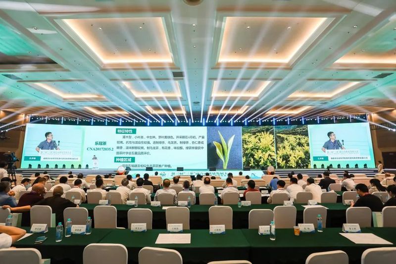 关于福茶所及 万里飘香！第三届“三茶”融合高质量发展大会举办的信息(4)