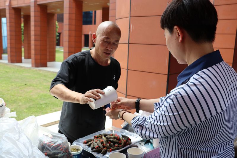 有关于一片树叶的力量的最新消息(6)