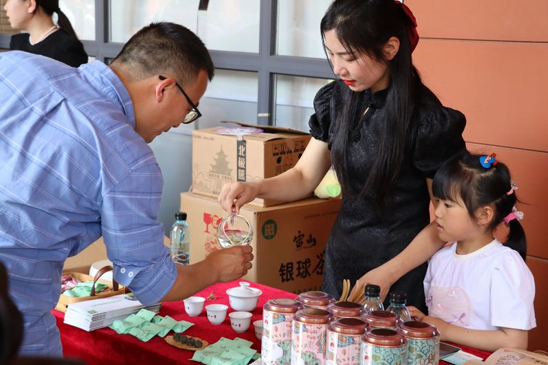 有关于一片树叶的力量的最新消息(4)