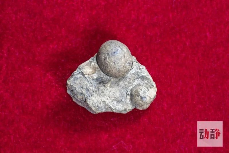 有关于一片树叶的力量的最新消息(5)