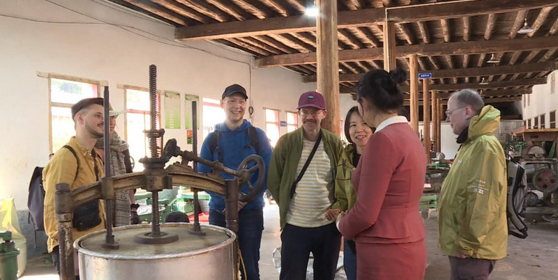 关于春茶飘香 德国友人到访凤庆品茗点赞滇红茶的资讯(2)