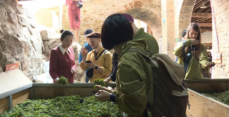 关于春茶飘香 德国友人到访凤庆品茗点赞滇红茶的资讯