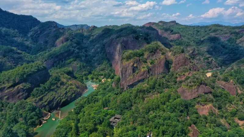 关于2024年3月茶行业资讯汇总的资讯(5)