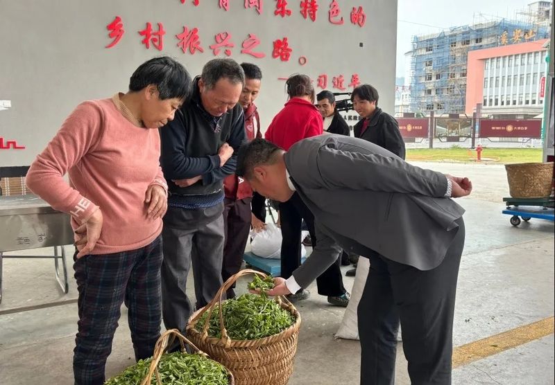 关于防伪“茶”询，追本溯源，溯源平台系统守护茶产业高质量发展的信息(1)