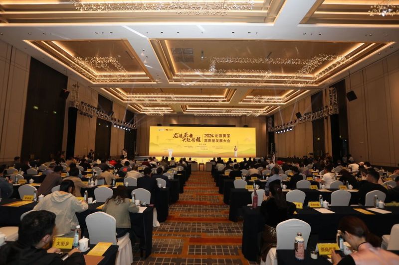 有关于春到龙游品黄茶的消息