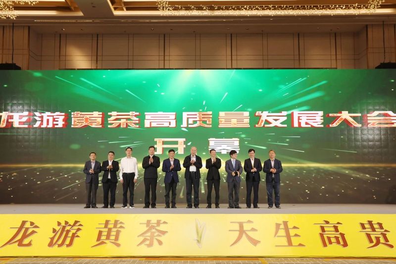 有关于春到龙游品黄茶的消息(4)