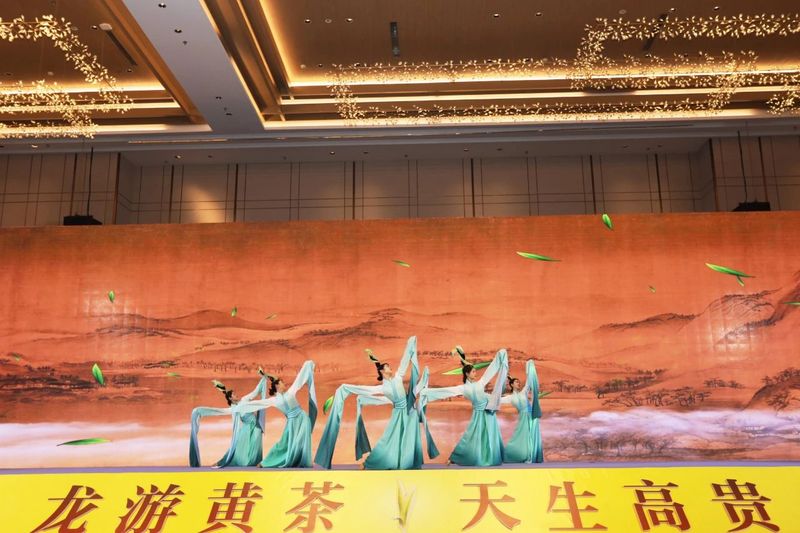 有关于春到龙游品黄茶的消息(12)