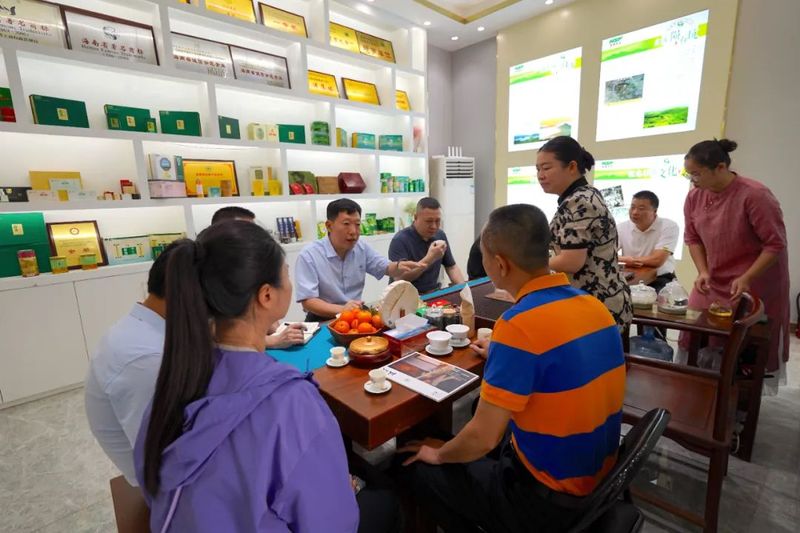 关于跨越山海，共绘“白沙茶”新蓝图的信息(3)