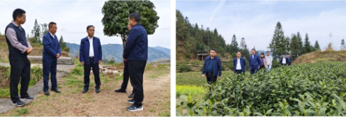 有关于州委常委、州委秘书长谭海到雷山县调研森林防火安全和春茶加工生产工作的新闻