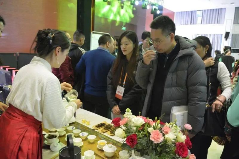 关于普安县茶产业蓬勃发展成效喜人的消息(2)