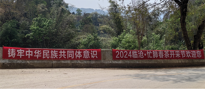 有关于勐板乡：聚“春”之力 忙肺春茶开采节架起民族团结“连心桥”的资讯(2)