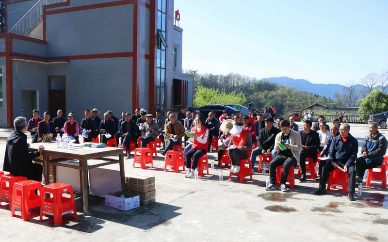 有关于“快闪”来袭！农技专家把技术送到茶园里的信息(3)