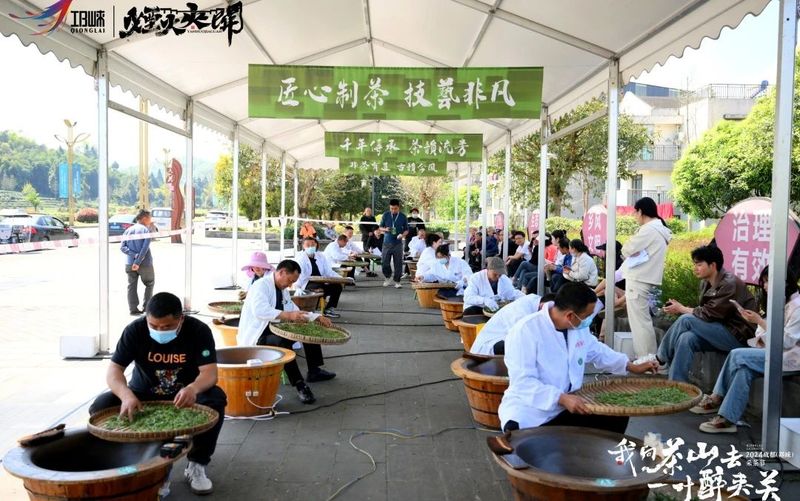 有关于不负好春光，一起采茶去！2024年成都（邛崃）采茶节开幕的消息(9)