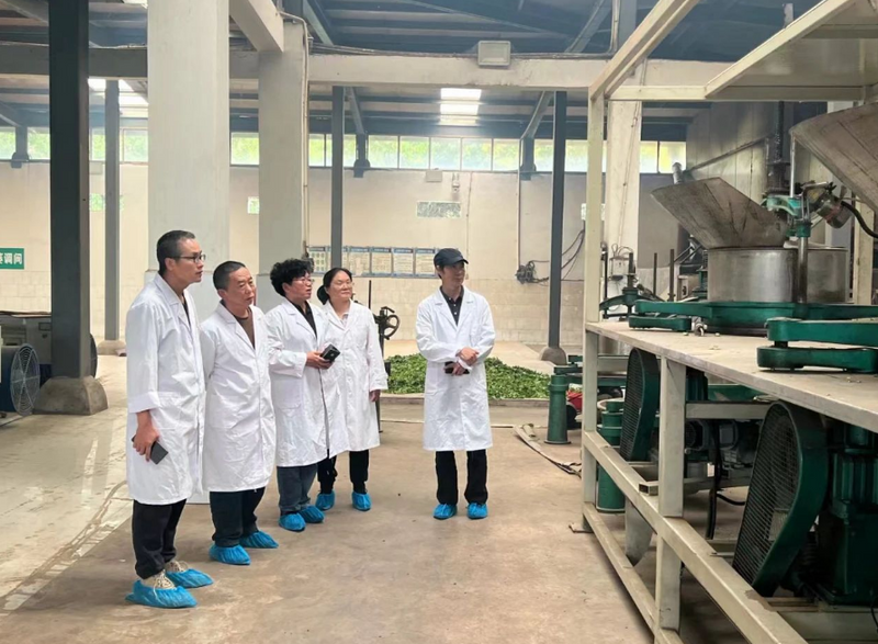 关于云南省现代农业茶叶产业技术体系首席科学家梁名志到德宏指导工作的新闻(2)