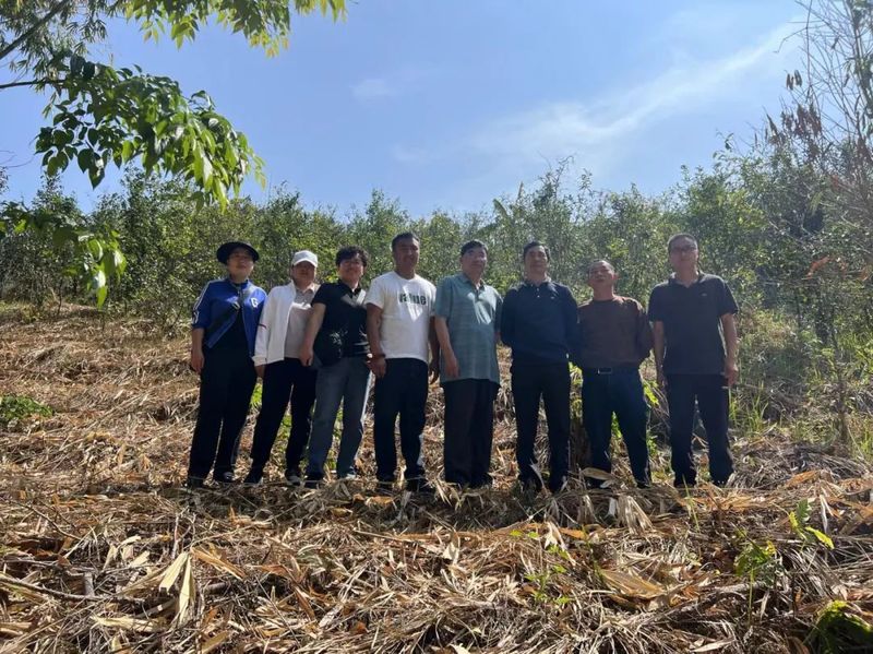 关于云南省现代农业茶叶产业技术体系首席科学家梁名志到德宏指导工作的新闻(1)