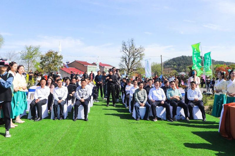 有关于2024舒城小兰花开园仪式在舒城县舒茶镇举行的资讯