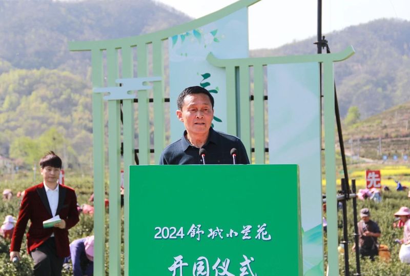 有关于2024舒城小兰花开园仪式在舒城县舒茶镇举行的资讯(3)