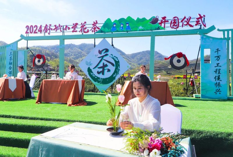 有关于2024舒城小兰花开园仪式在舒城县舒茶镇举行的资讯(8)