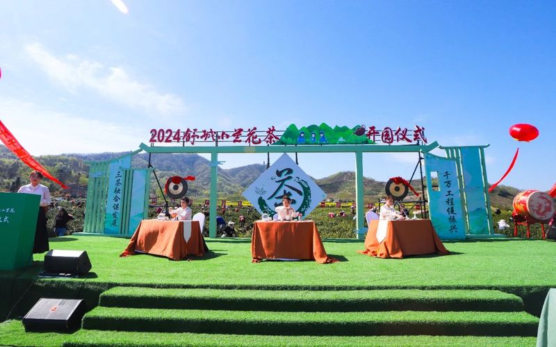 有关于2024舒城小兰花开园仪式在舒城县舒茶镇举行的资讯(7)