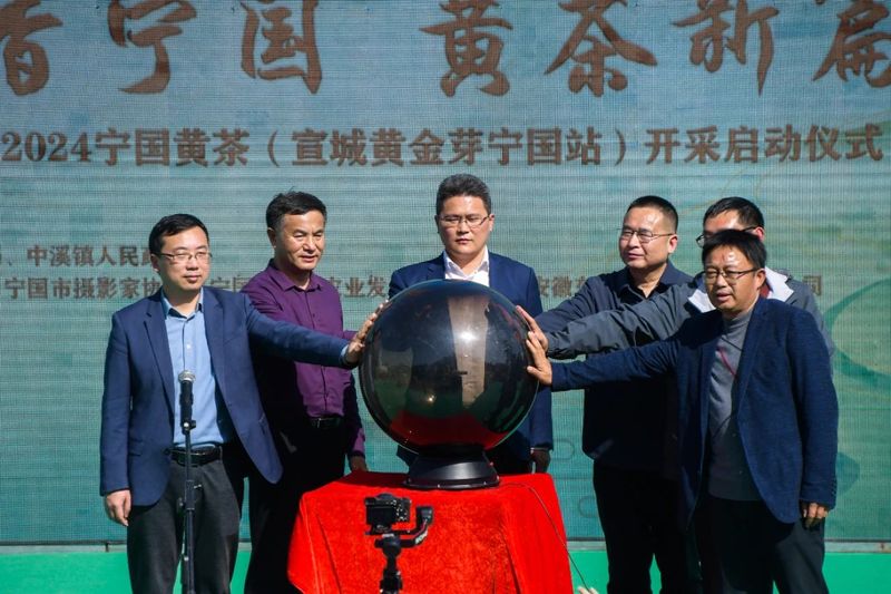 有关于2024宁国黄茶（宣城黄金芽宁国站）开采启动仪式举行的信息