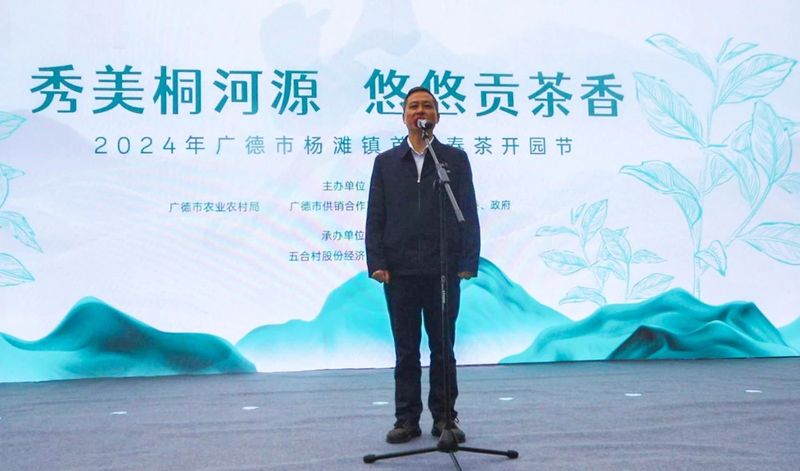 关于秀美桐河源 悠悠贡茶香 ， 2024年广德市杨滩镇首届春茶开园节圆满举行的内容