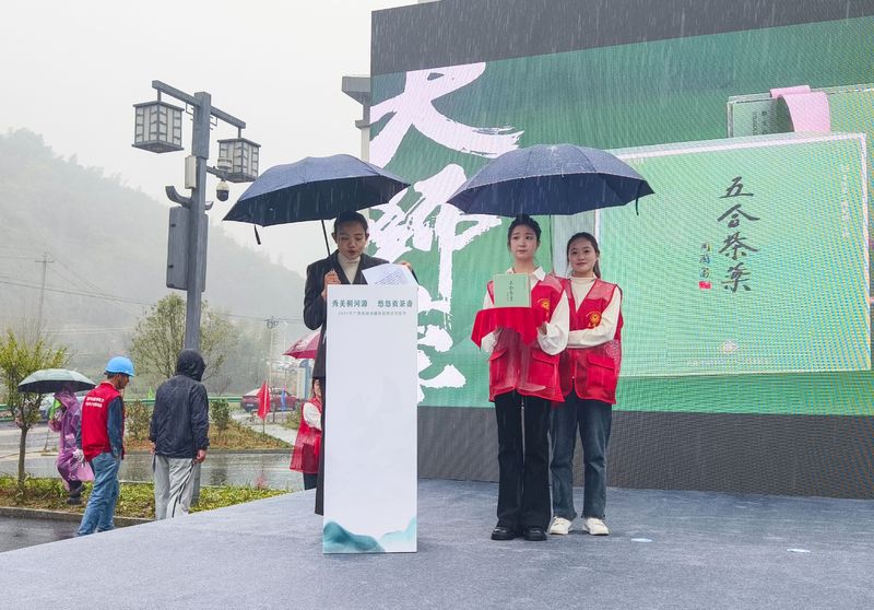 关于秀美桐河源 悠悠贡茶香 ， 2024年广德市杨滩镇首届春茶开园节圆满举行的内容(4)