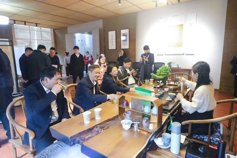 关于秀美桐河源 悠悠贡茶香 ， 2024年广德市杨滩镇首届春茶开园节圆满举行的内容(3)