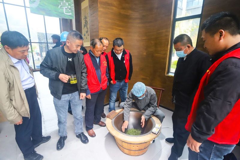 关于秀美桐河源 悠悠贡茶香 ， 2024年广德市杨滩镇首届春茶开园节圆满举行的内容(6)