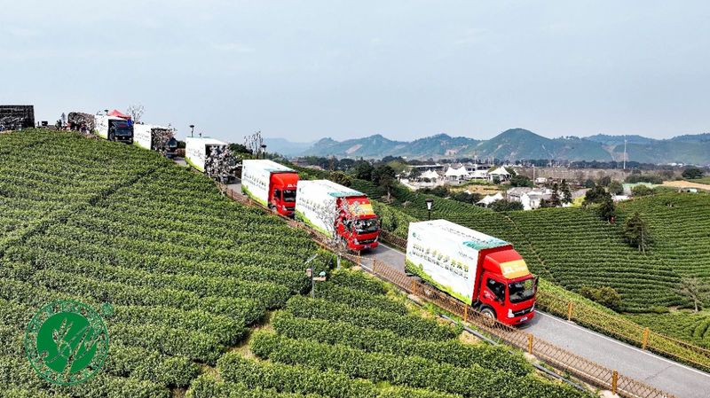 关于2024“安吉白茶”开采节有亮点!《茶叶区域公用品牌价值评价》团体标准发布!的相关信息(6)