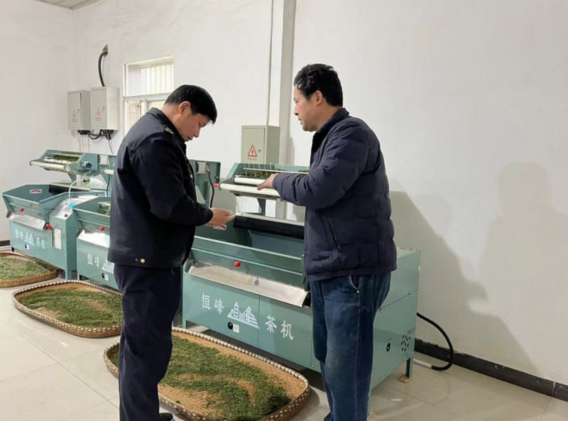 有关于柯坦市监所：“三聚力”开展春茶知识产权保护专项行动的内容(2)