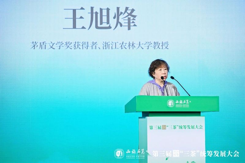 有关于西施故里，千年石笕——第三届浙江诸暨“三茶”统筹发展大会圆满召开的相关内容(19)