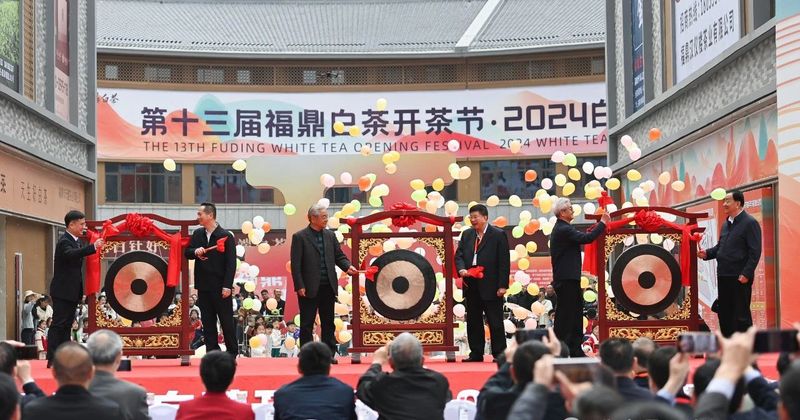 有关于第十三届福鼎白茶开茶节·2024白茶交易大会盛大启幕！的相关信息(1)
