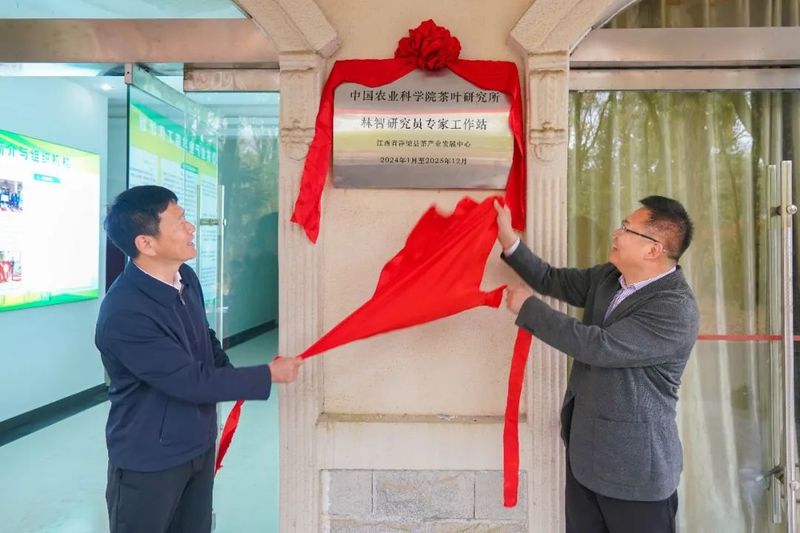 关于浮梁县林业科技研究院及中茶所专家工作站揭牌仪式举行的新闻(2)