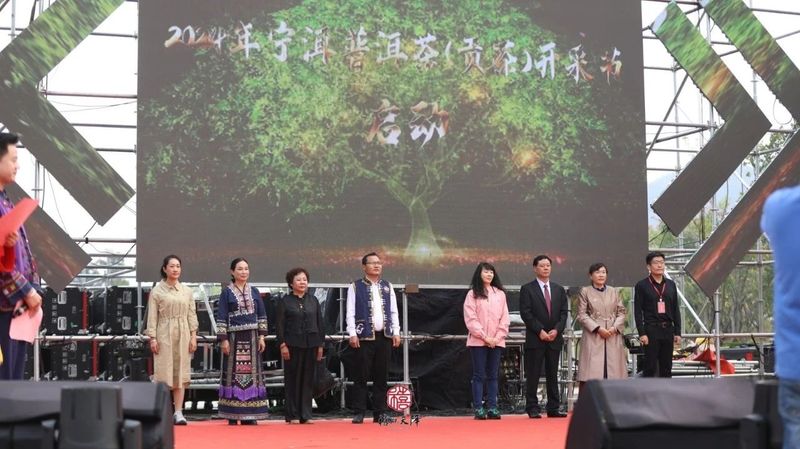 关于这杯宁洱普洱茶（贡茶）我先替您喝了的内容(1)