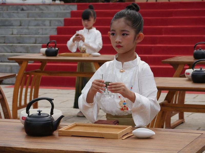 关于这杯宁洱普洱茶（贡茶）我先替您喝了的内容(5)