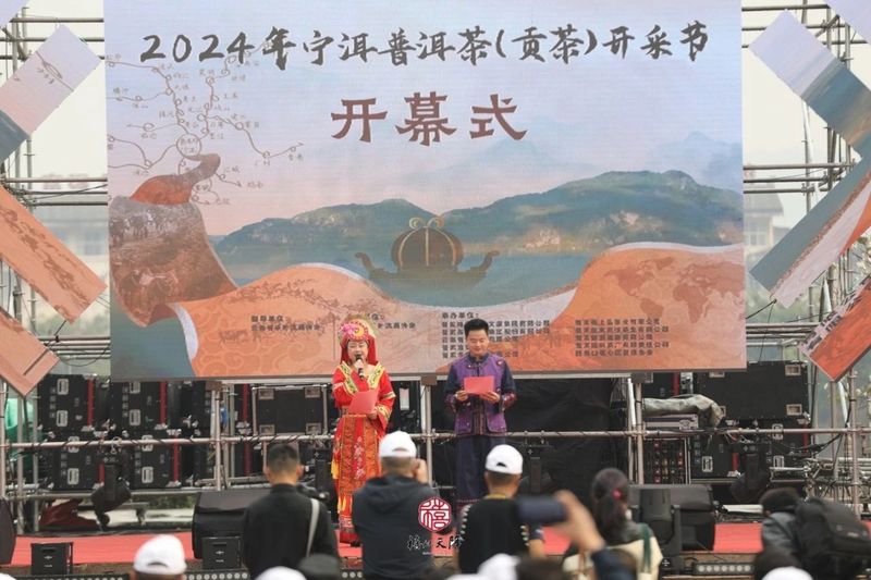 关于这杯宁洱普洱茶（贡茶）我先替您喝了的内容