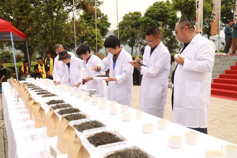 关于这杯宁洱普洱茶（贡茶）我先替您喝了的内容(3)