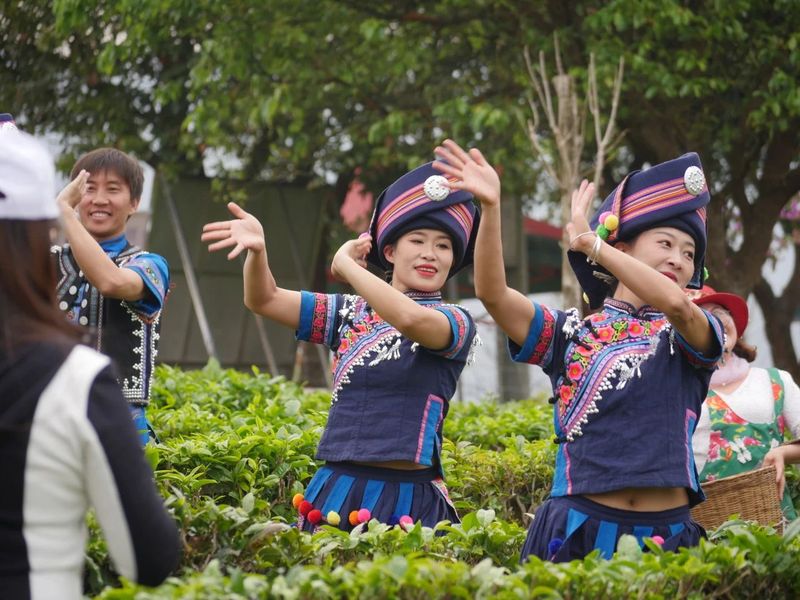 关于这杯宁洱普洱茶（贡茶）我先替您喝了的内容(7)