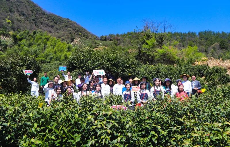 有关于以春之茗 共鉴芳华 休宁松萝第六届春茶节成功举办！的内容(9)